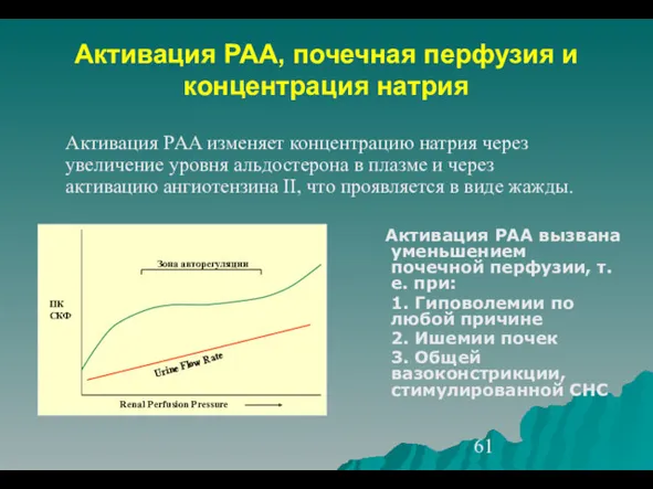 Активация РАА, почечная перфузия и концентрация натрия Активация РАА вызвана