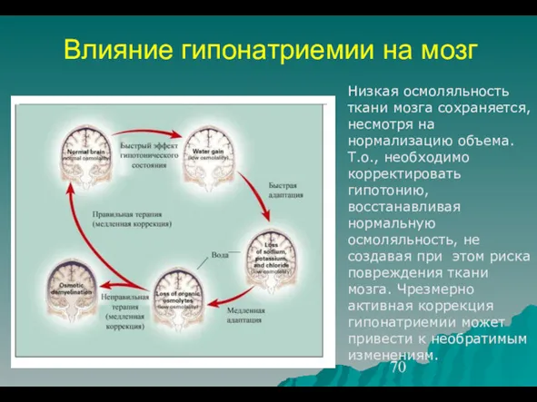 Влияние гипонатриемии на мозг Низкая осмоляльность ткани мозга сохраняется, несмотря