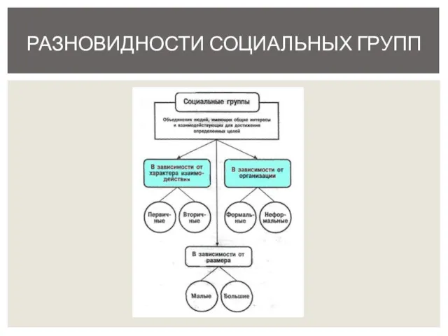 РАЗНОВИДНОСТИ СОЦИАЛЬНЫХ ГРУПП