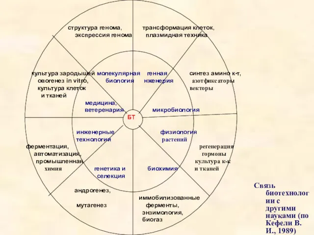 Связь биотехнологии с другими науками (по Кефели В.И., 1989)