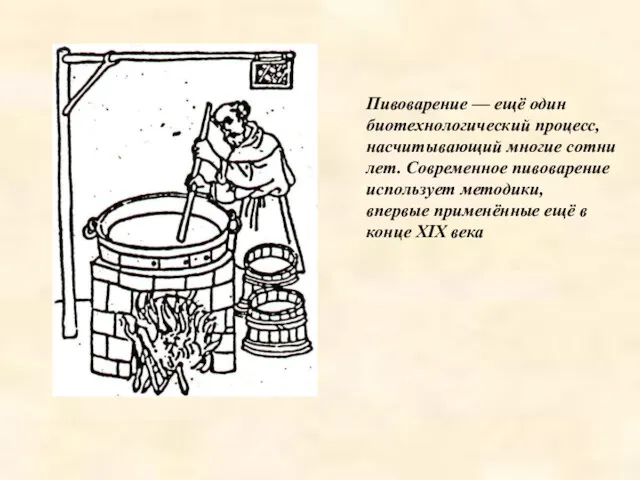 Пивоварение — ещё один биотехнологический процесс, насчитывающий многие сотни лет.