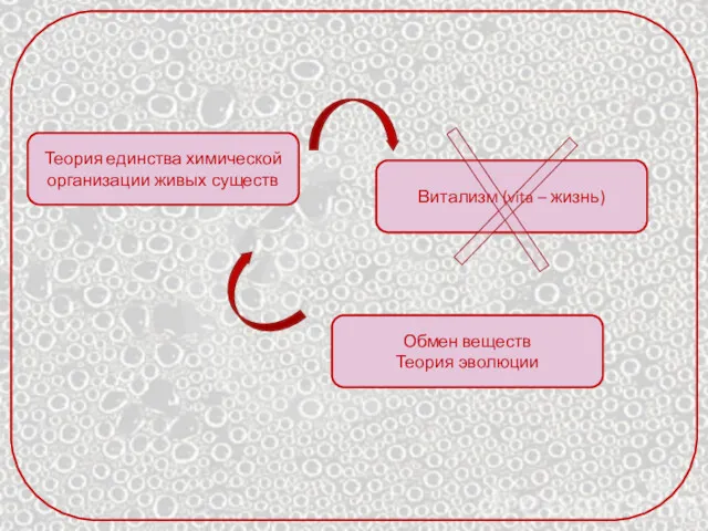 Теория единства химической организации живых существ Витализм (vita – жизнь) Обмен веществ Теория эволюции