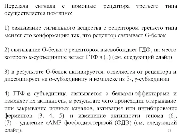 Передача сигнала с помощью рецептора третьего типа осуществляется поэтапно: 1)