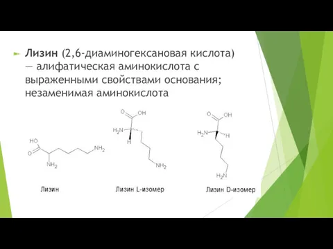 Лизин (2,6-диаминогексановая кислота) — алифатическая аминокислота с выраженными свойствами основания; незаменимая аминокислота
