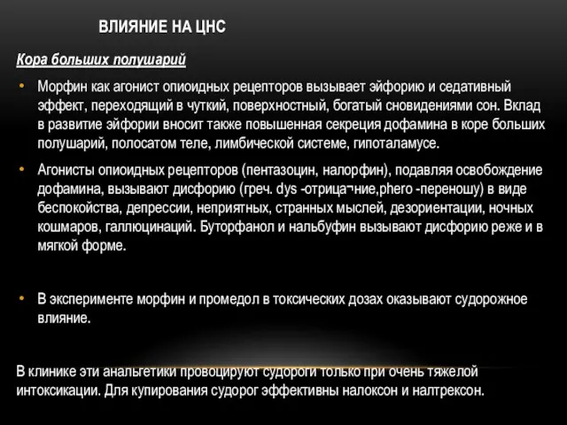 Кора больших полушарий Морфин как агонист опиоидных рецепторов вызывает эйфорию