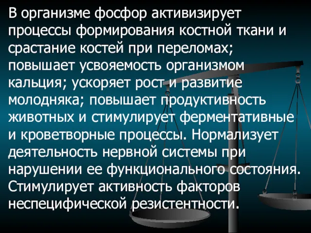 В организме фосфор активизирует процессы формирования костной ткани и срастание