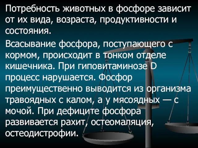 Потребность животных в фосфоре зависит от их вида, возраста, продуктивности