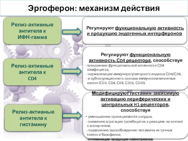 Эргоферон: механизм действия