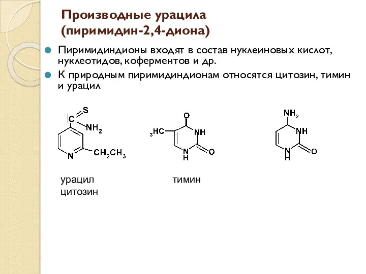 Производные урацила (пиримидин-2,4-диона) Пиримидиндионы входят в состав нуклеиновых кислот, нуклеотидов,