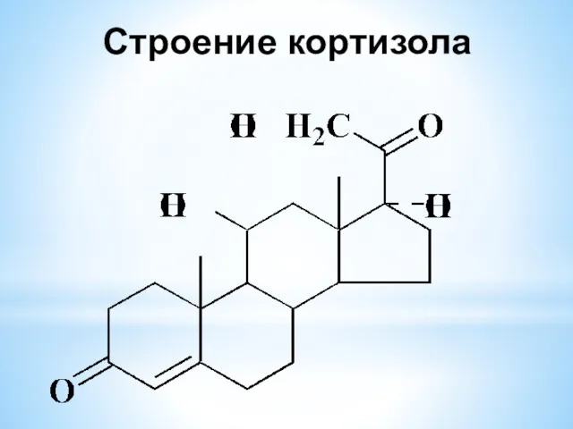 Строение кортизола