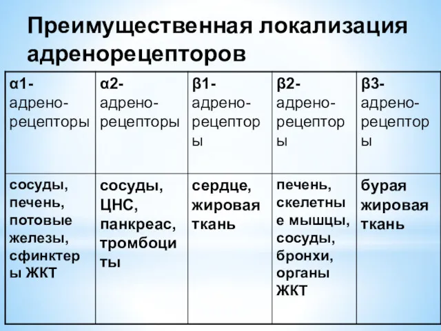 Преимущественная локализация адренорецепторов