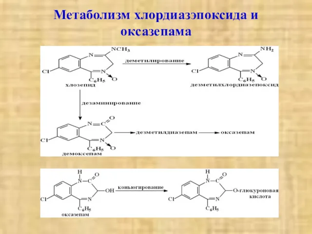 Метаболизм хлордиазэпоксида и оксазепама