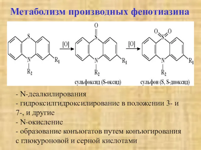Метаболизм производных фенотиазина - N-деалкилирования - гидроксилгидроксилирование в положении 3-