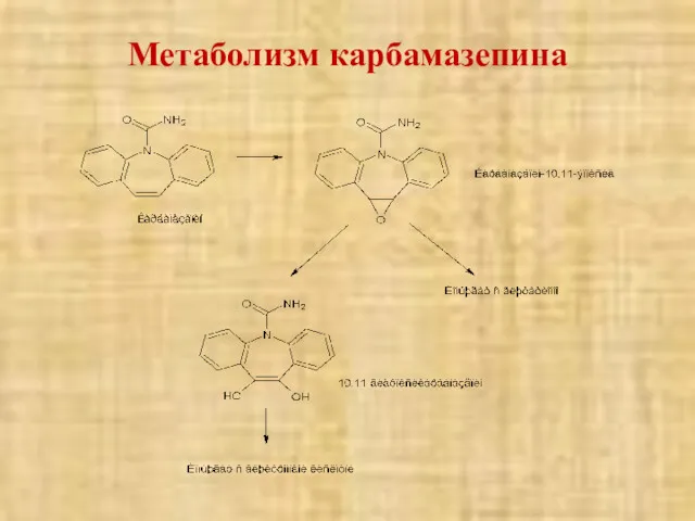 Метаболизм карбамазепина