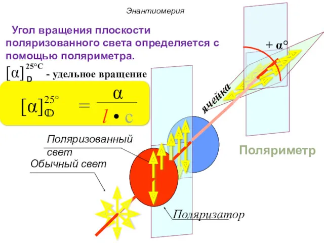ячейка Поляриметр Угол вращения плоскости поляризованного света определяется с помощью