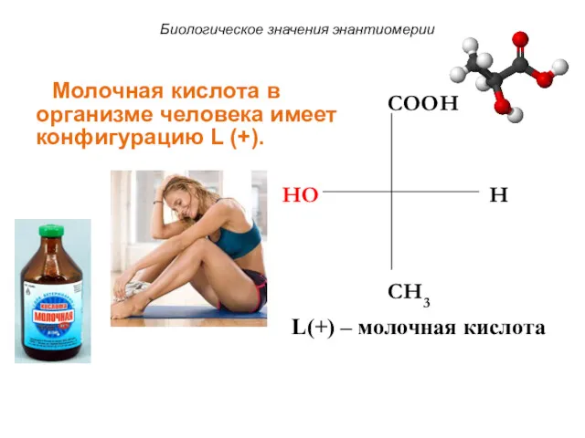 HO COOH H CH3 L(+) – молочная кислота Биологическое значения