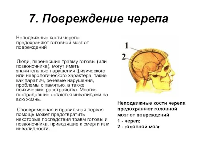 7. Повреждение черепа Неподвижные кости черепа предохраняют головной мозг от