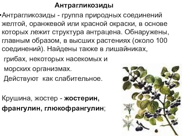 Антрагликозиды Антрагликозиды - группа природных соединений желтой, оранжевой или красной