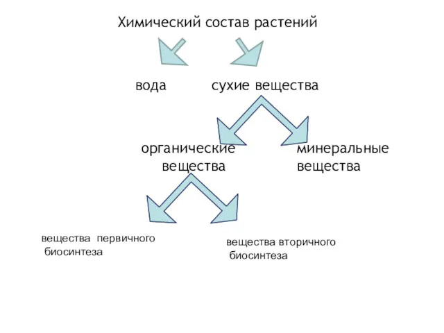 Химический состав растений вода сухие вещества минеральные вещества органические вещества вещества первичного биосинтеза вещества вторичного биосинтеза