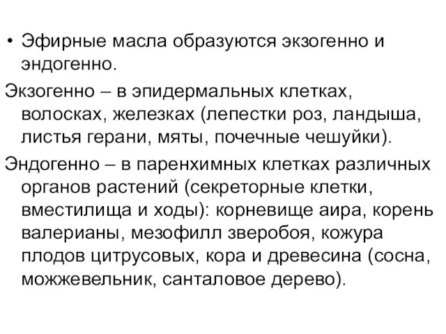 Эфирные масла образуются экзогенно и эндогенно. Экзогенно – в эпидермальных