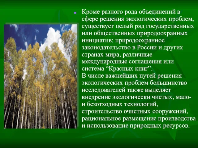 Кроме разного рода объединений в сфере решения экологических проблем, существует