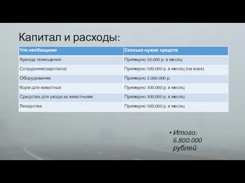 Капитал и расходы: Итого: 6.800.000 рублей