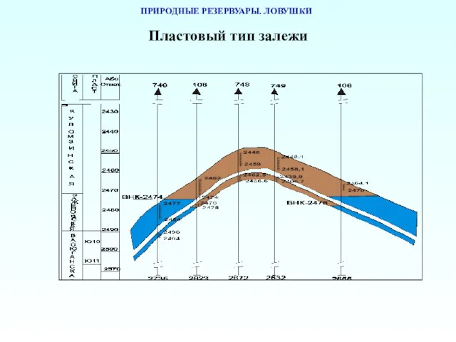 ПРИРОДНЫЕ РЕЗЕРВУАРЫ. ЛОВУШКИ Пластовый тип залежи