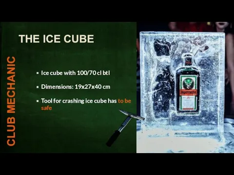 Ice cube with 100/70 cl btl Dimensions: 19х27х40 cm Tool
