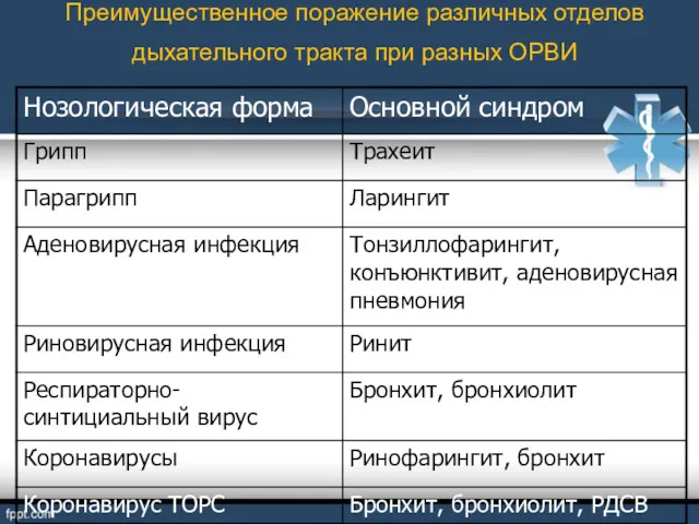 Преимущественное поражение различных отделов дыхательного тракта при разных ОРВИ