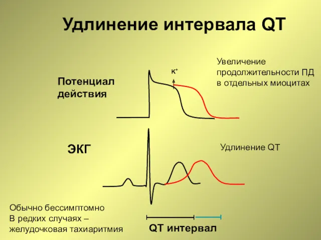 K+ Удлинение интервала QT Потенциал действия ЭКГ QT интервал Удлинение