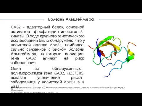 GAB2 - адаптерный белок, основной активатор фосфатидил-инозитол-3-киназы. В ходе крупного