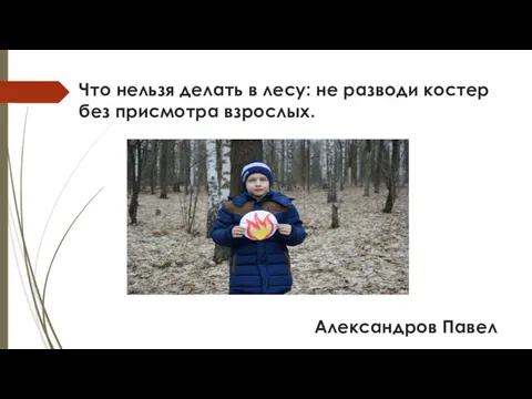 Что нельзя делать в лесу: не разводи костер без присмотра взрослых. Александров Павел