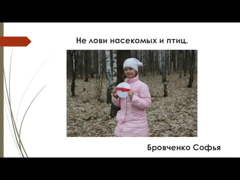 Не лови насекомых и птиц. Бровченко Софья