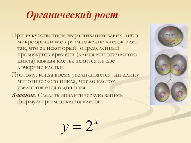 При искусственном выращивании каких-либо микроорганизмов размножение клеток идет так, что