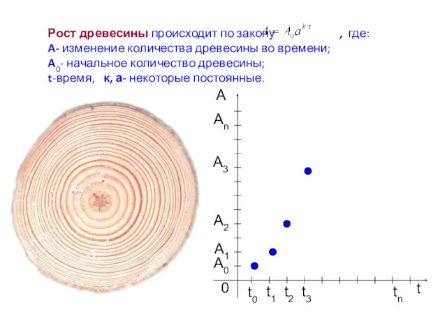 Рост древесины происходит по закону , где: A- изменение количества