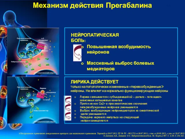 Механизм действия Прегабалина НЕЙРОПАТИЧЕСКАЯ БОЛЬ: Повышенная возбудимость нейронов Массивный выброс