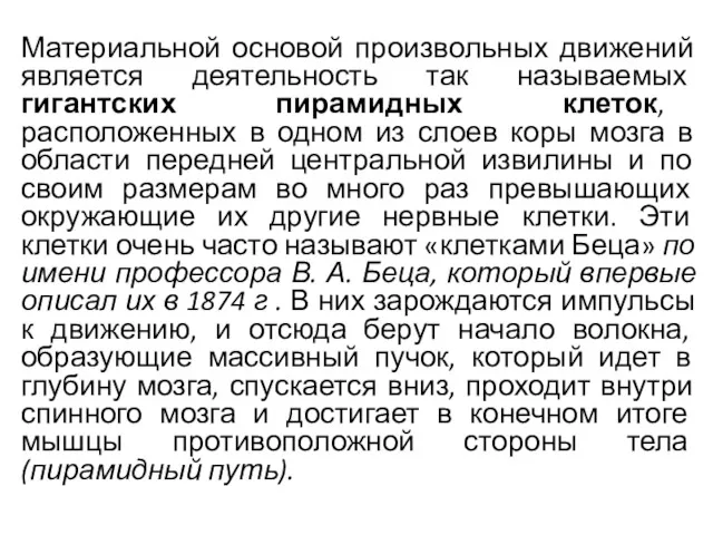 Материальной основой произвольных движений является деятельность так называемых гигантских пирамидных