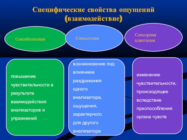 Специфические свойства ощущений (взаимодействие) Сенсибилизация Синестезия Сенсорная адаптация повышение чувствительности