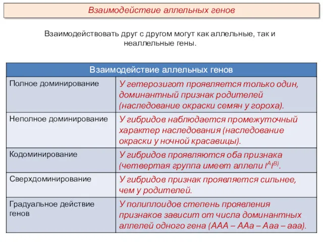 Взаимодействовать друг с другом могут как аллельные, так и неаллельные гены. Взаимодействие аллельных генов