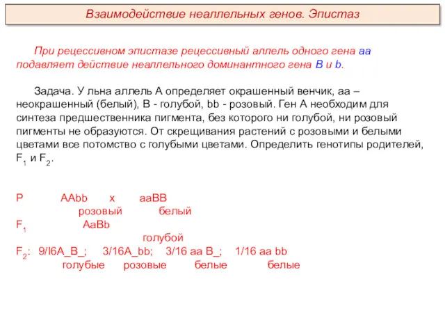 При рецессивном эпистазе рецессивный аллель одного гена аа подавляет действие