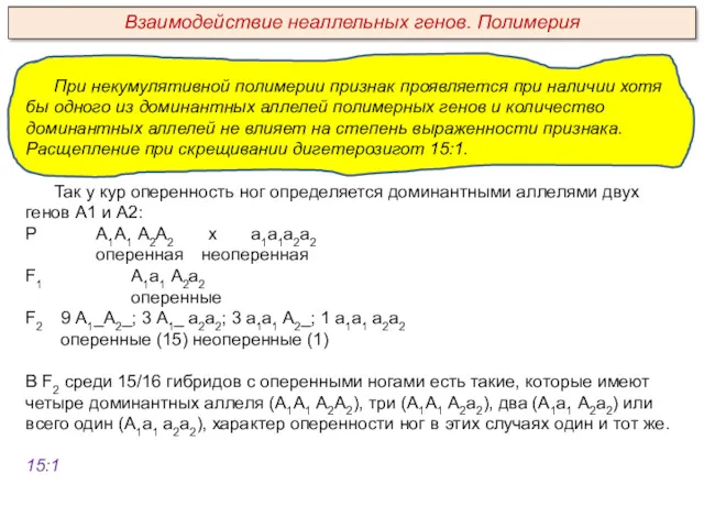 При некумулятивной полимерии признак проявляется при наличии хотя бы одного