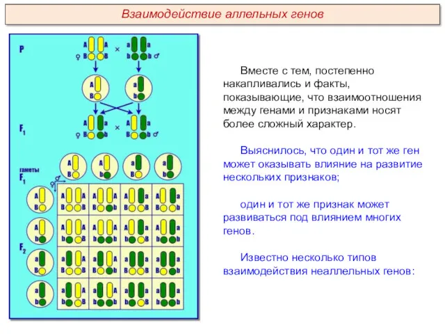 Вместе с тем, постепенно накапливались и факты, показывающие, что взаимоотношения