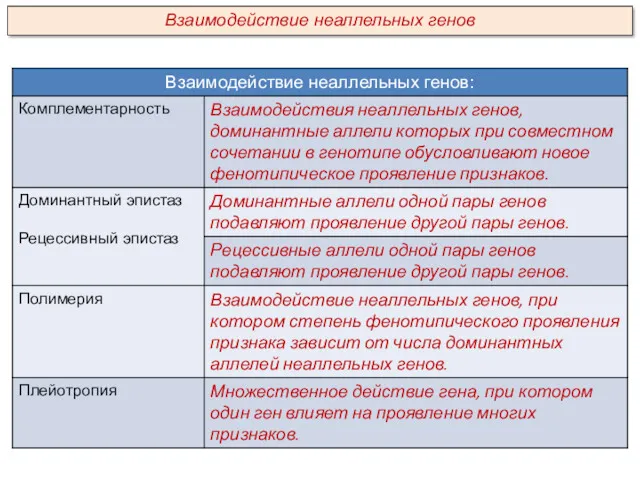 Взаимодействие неаллельных генов