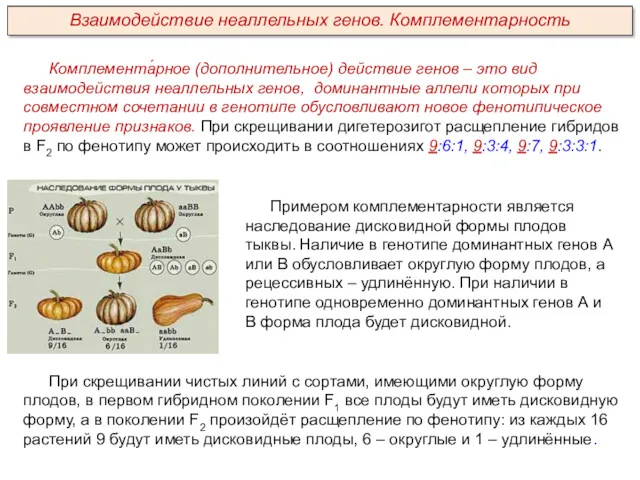 Комплемента́рное (дополнительное) действие генов – это вид взаимодействия неаллельных генов,