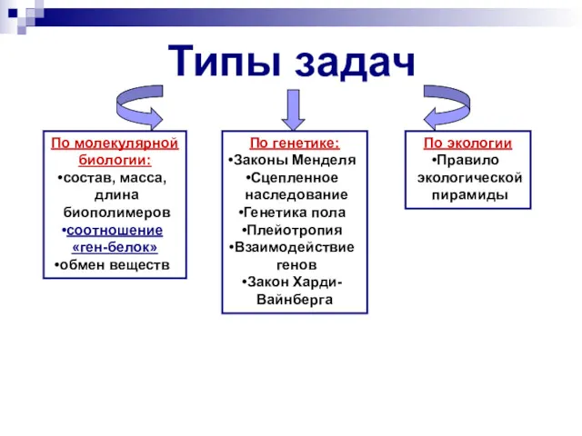 Типы задач По молекулярной биологии: состав, масса, длина биополимеров соотношение