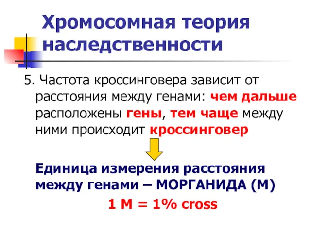 Хромосомная теория наследственности 5. Частота кроссинговера зависит от расстояния между