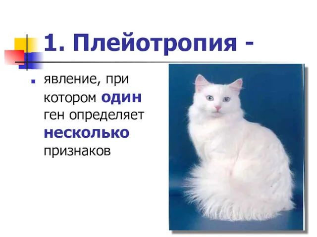 1. Плейотропия - явление, при котором один ген определяет несколько признаков