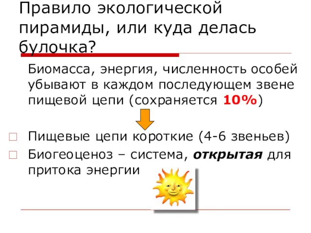 Правило экологической пирамиды, или куда делась булочка? Биомасса, энергия, численность