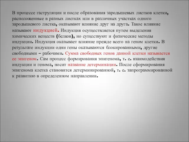 В процессе гаструляции и после образования зародышевых листков клетки, расположенные