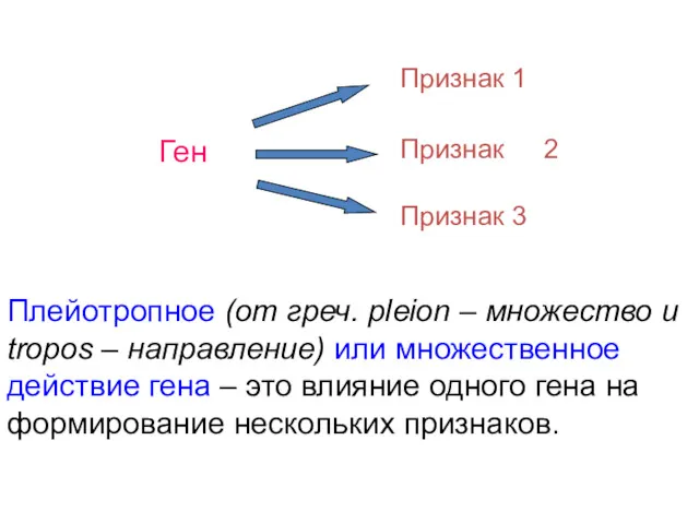 Ген Признак Плейотропное (от греч. pleion – множество и tropos